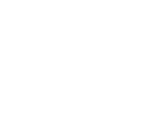 In meiner Ausbildung zur Kauffrau im Einzelhandel habe ich gelernt, wie ich Produkte bestelle, Preise kalkuliere und buchhalterisch  verwerte zu Bilanzen.  Heute weiß ich:  Genau so wichtig wie die Theorie ist das Produkt praktisch an den Man(n)  oder die Frau zu bringen!  Das heißt: Auffallen um jeden Preis!  So gestalte ich auf  Wunsch: